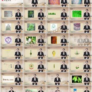 药用植物学-探秘植物结构，夯实中药根基