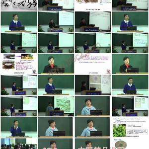 中国民族药物学概论-探秘多元民族医药智慧