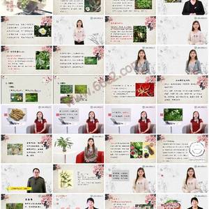 看花识草辨药材-识药辨草，走进药用植物世界