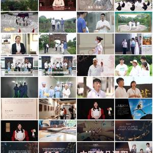 荆楚中医药文化传承与实践-传承荆楚医药，激发双创实践