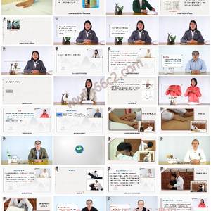 推拿手法学-掌握六大核心手法，规范安全操作