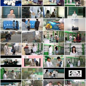 医药市场营销-医药营销实战：理论与策略精讲