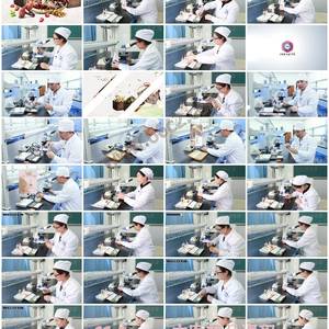 中药鉴定技术-掌握中药真伪优劣的鉴定技能