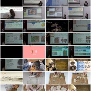 中药鉴定技术-掌握中药鉴定核心技能与鉴别方法