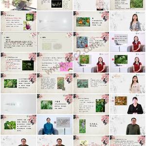 看花识草辨药材-识植物，辨药材