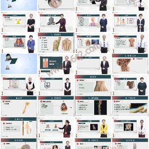 穴位解剖-穴位解剖：理论与临床结合的科学基础